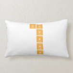 HH
 H
 H
 H
 H  Pillows (Lumbar)