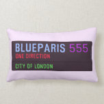 BlueParis  Pillows (Lumbar)