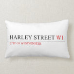 HARLEY STREET  Pillows (Lumbar)