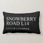 SNOWBERRY ROaD  Pillows (Lumbar)