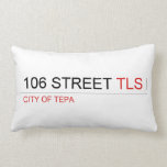 106 STREET  Pillows (Lumbar)
