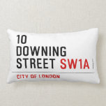 10  downing street  Pillows (Lumbar)