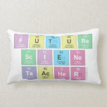 Future
 Sciene
 Teacher  Pillows (Lumbar)