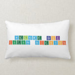 Welcome Back
 Future Scientists  Pillows (Lumbar)
