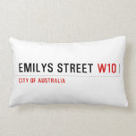 Emilys Street  Pillows (Lumbar)