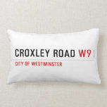 Croxley Road  Pillows (Lumbar)