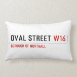 Oval Street  Pillows (Lumbar)