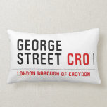 George  Street  Pillows (Lumbar)