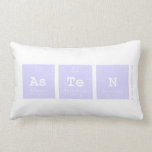 Asten  Pillows (Lumbar)