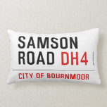 SAMSON  ROAD  Pillows (Lumbar)