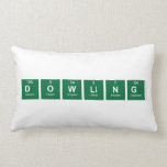 Dowling  Pillows (Lumbar)