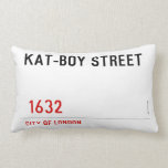 KAT-BOY STREET     Pillows (Lumbar)