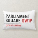 parliament square  Pillows (Lumbar)