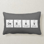 Geeky  Pillows (Lumbar)