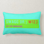 swagg dr:)  Pillows (Lumbar)