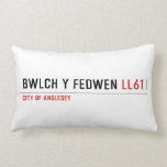 Bwlch Y Fedwen  Pillows (Lumbar)