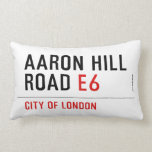 AARON HILL ROAD  Pillows (Lumbar)