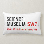 science museum  Pillows (Lumbar)
