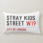 Stray Kids Street  Pillows (Lumbar)