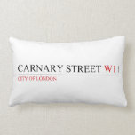 Carnary street  Pillows (Lumbar)