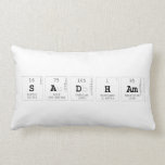 Sadham  Pillows (Lumbar)