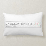 Jassjit Street  Pillows (Lumbar)