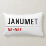 Janumet  Pillows (Lumbar)