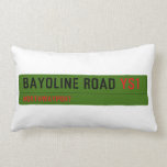 Bayoline road  Pillows (Lumbar)