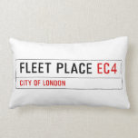 FLEET PLACE  Pillows (Lumbar)
