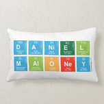 Daniel
 Maloney  Pillows (Lumbar)