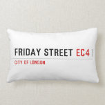 Friday street  Pillows (Lumbar)