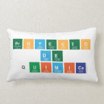 proyecto 
 de
 quimica  Pillows (Lumbar)