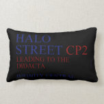 Halo Street  Pillows (Lumbar)