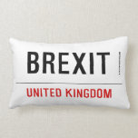 Brexit  Pillows (Lumbar)