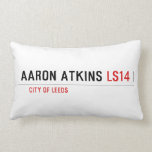 Aaron atkins  Pillows (Lumbar)