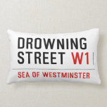 Drowning  street  Pillows (Lumbar)