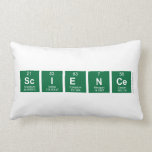 Science  Pillows (Lumbar)