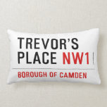 Trevor’s Place  Pillows (Lumbar)