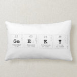 Geeky  Pillows (Lumbar)