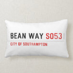 Bean Way  Pillows (Lumbar)