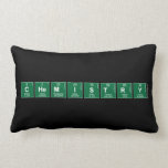 Chemistry  Pillows (Lumbar)