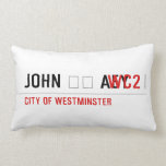 John ❤️ Aey  Pillows (Lumbar)