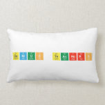 Genius Teachers  Pillows (Lumbar)