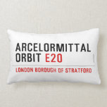 ArcelorMittal  Orbit  Pillows (Lumbar)
