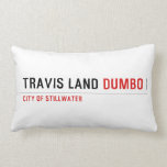 Travis Land  Pillows (Lumbar)