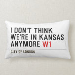 I don't think We're in Kansas anymore  Pillows (Lumbar)