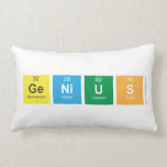 genius  Pillows (Lumbar)