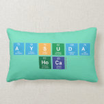 Aysuda 
 Hoca  Pillows (Lumbar)
