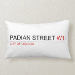 PADIAN STREET  Pillows (Lumbar)