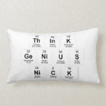Think
 Genius
 Nick  Pillows (Lumbar)